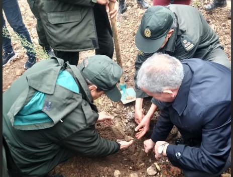 عنابة: مشاركة شعبية ورسمية واسعة لإنجاح الحملة الوطنية الكبرى للتشجير