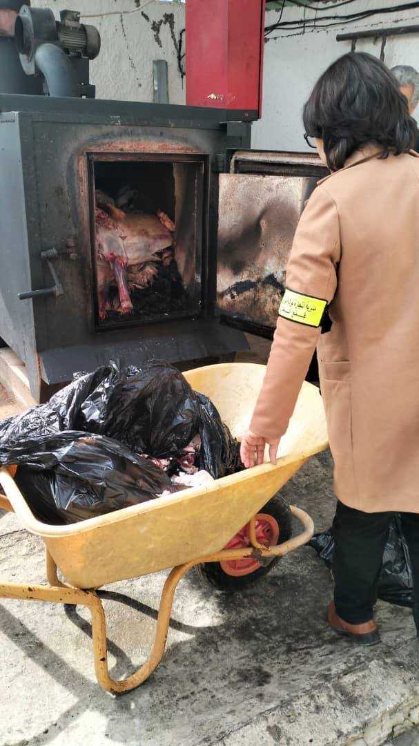 تيزي وزو: حجز وإتلاف لحوم غير صالحة للاستهلاك بعزازقة
