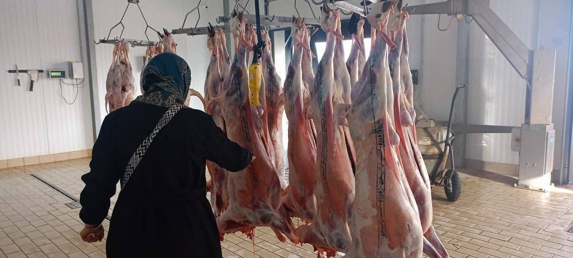 باتنة: ضمان وفرة المواد الأساسية بأسعار تنافسية خلال الشهر الفضيل