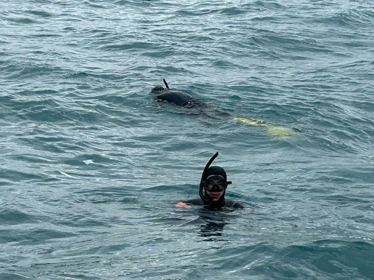 جيجل: استمرار عمليات البحث عن غريق مفقود